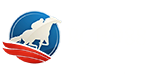 RCB988